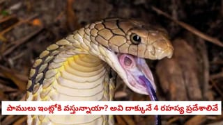 Chanakya Niti: ముక్కలైన బంధం మళ్లీ కలవాలా? చాణక్యుడు చెప్పిన ఈ 8 సూత్రాలు పాటిస్తే మీ ఇంట్లో ప్రేమ వర్షం కురవడం ఖాయం!