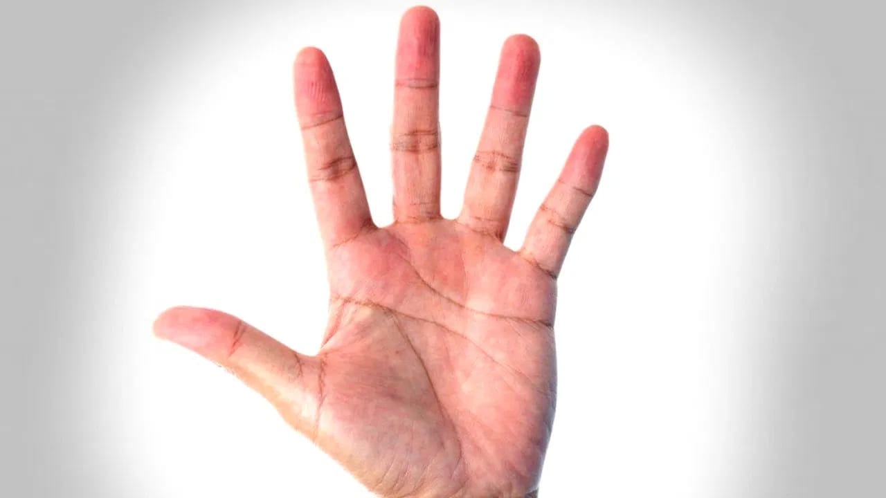 
శిరోరేఖ, ఇతర శుభ సూచనలు

శిరోరేఖ స్పష్టంగా, లోపాలు లేకుండా ఉంటే మానసిక స్థిరత్వం, మంచి నిర్ణయ శక్తి లభిస్తుంది. శుక్ర పర్వతం (బొటనవేలు కింద భాగం) బలంగా ఉంటే జీవితంలో సౌఖ్యం, ఆనందం ఎక్కువగా ఉంటుంది.
పొడవైన వేళ్లు, సహజమైన గులాబీ రంగు అరచేయి, స్పష్టమైన జీవన రేఖలు ఉన్నవారు సాధారణంగా సుఖసంతోషాలతో జీవితం గడుపుతారని హస్తసాముద్రికం చెబుతుంది.

(Disclaimer: ఇక్కడ అందించిన సమాచారం హస్తసాముద్రిక శాస్త్రం,   సాధారణ నమ్మకాల ఆధారంగా మాత్రమే అందించబడింది. ఈ సమాచారం ఖచ్చితంగా నిజం లేదా శాస్త్రీయంగా నిర్ధారితమైన సమాచారం అని భావించకండి. వ్యక్తిగత నిర్ణయాలు తీసుకునే ముందు సంబంధిత నిపుణులను సంప్రదించడం మంచిది.)