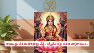 Tulsi Vastu: తులసి ఇచ్చే ఈ చిన్న సంకేతాలు మీ భవిష్యత్తును మారుస్తాయ్.. అవేంటో తెలుసా?