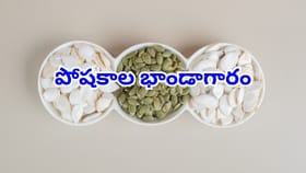 స్వచ్ఛమైన బంగారం లాంటి ఈ విత్తనాలు రోజుకు ఒక చెంచా తింటే చాలు..