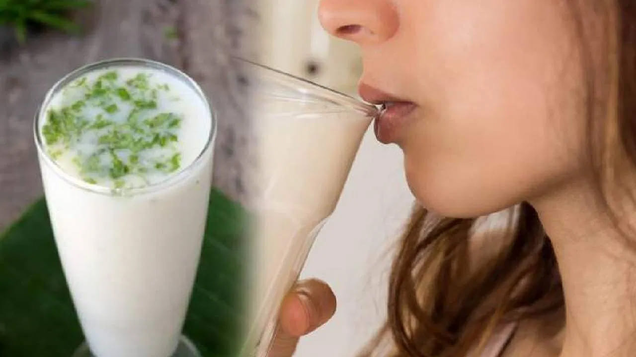 
గుండె ఆరోగ్యం - రక్తపోటు: కొవ్వు తక్కువగా ఉండే సహజమైన మజ్జిగ రక్తపోటును నియంత్రించడంలో సహాయపడుతుంది. క్రమం తప్పకుండా మజ్జిగ తాగడం వల్ల గుండె పనితీరు మెరుగుపడుతుందని అధ్యయనాలు చెబుతున్నాయి. మజ్జిగలోని ప్రోబయోటిక్స్ యాంటీబయాటిక్స్ వాడటం వల్ల కలిగే విరేచనాలను తగ్గిస్తాయి. జీర్ణాశయానికి సంబంధించిన ఇన్ఫెక్షన్ల నుండి త్వరగా కోలుకోవడానికి ఇది తోడ్పడుతుంది.
