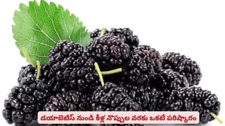 అక్వేరియంలో చేపలు పెంచుతున్నారా? ఈ జాగ్రత్తలు తీసుకోకపోతే ప్రమాదంలో చేపలు