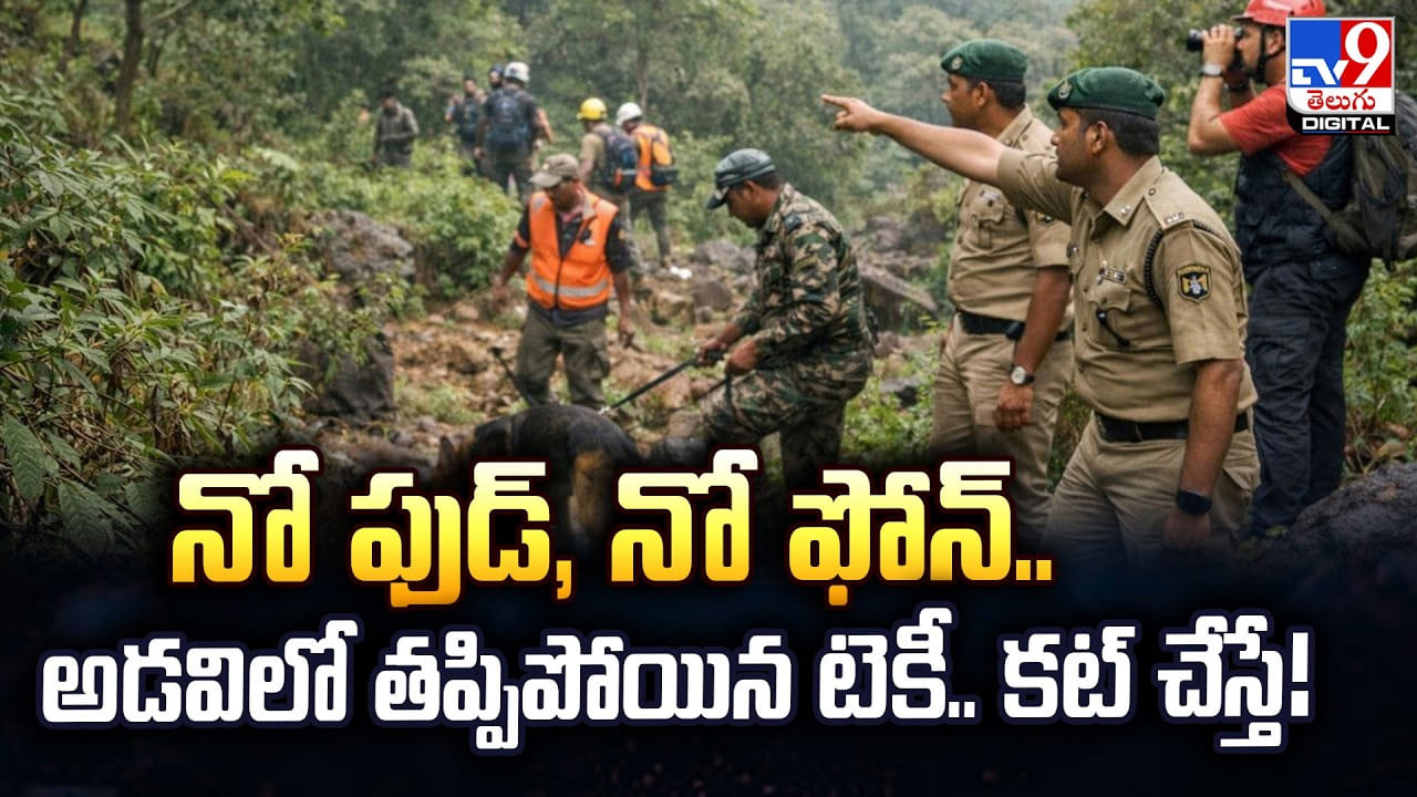 నో ఫుడ్‌, నో ఫోన్‌.. అడవిలో తప్పిపోయిన టెకీ.. కట్‌ చేస్తే !!