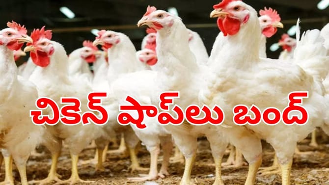 చికెన్ లవర్స్‌కు బ్యాడ్‌న్యూస్.. మూతబడిన షాప్‌లు.. ఎందుకంటే!