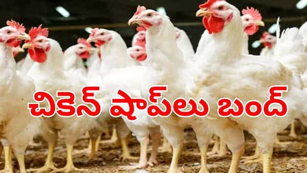 Chicken shops: చికెన్ లవర్స్కు బ్యాడ్న్యూస్.. మూతబడిన షాప్లు.. ఎందుకంటే!