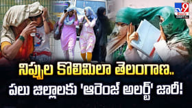 నిప్పుల కొలిమిలా తెలంగాణ.. పలు జిల్లాలకు 'ఆరెంజ్ అలర్ట్' జారీ