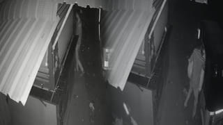 హైదరాబాద్ బిర్యానీ కోసం వేల కిలోమీటర్లు దాటి.. ఫారిన్ టూరిస్టుల ఫిదా.. సోషల్ మీడియాలో నయా ట్రెండ్..