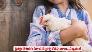 బావిలో కప్పలా ఉండద్దు.. ప్రపంచ పౌరుడిగా ఎదగాలంటే ఈ లక్షణాలు మీలో ఉండాల్సిందే!