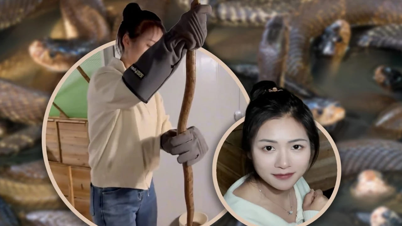 The Girl Who Collects Snake Venom