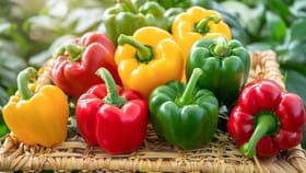 పచ్చ, పసుపు, ఎరుపు.. రంగుతోపాటు క్యాప్సికమ్‌లో వచ్చే మార్పులివే