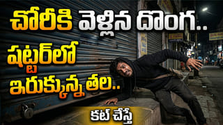 మానవుల మధ్యే కాదు.. జంతువుల మధ్యా అంతర్యుద్ధం