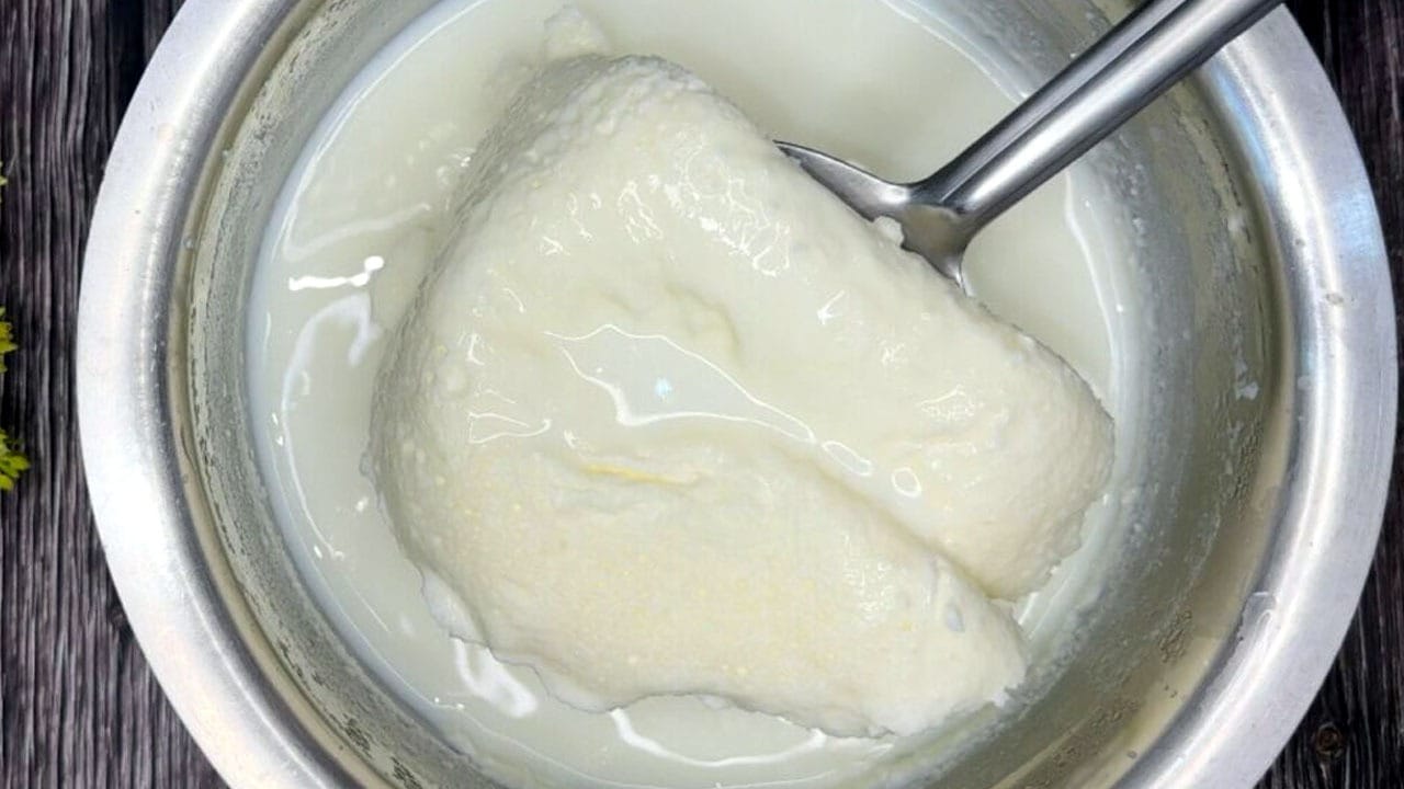 Thick Malai: ప్యాకెట్ పాల నుండి నెయ్యి తీయడం చాలా ఈజీ.. చపాతీ మందంలాంటి మీగడ కోసం సూపర్ ట్రిక్స్