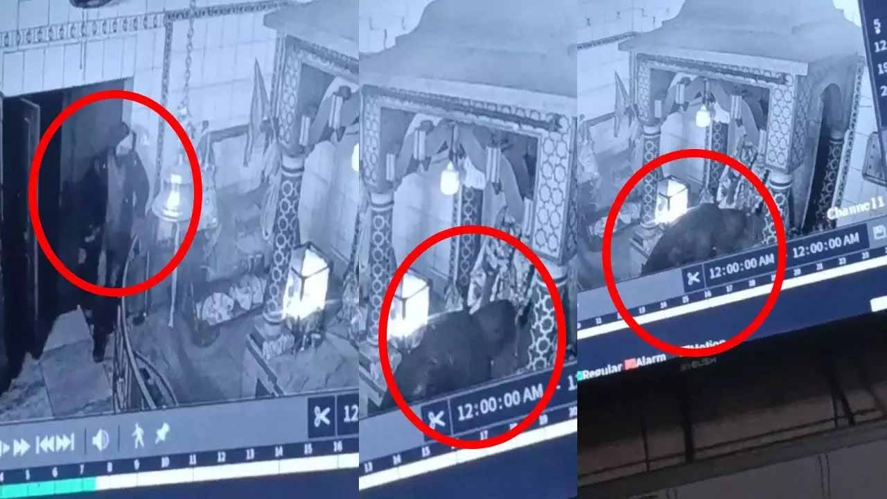 వీడో విచిత్ర దొంగ.. రెయిన్ కోట్ ధరించి ఆలయంలోకి ఎంట్రీ.. ఏం ఎత్తుకెళ్లాడో తెలుసా?