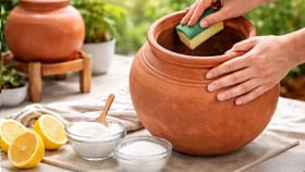 వేసవిలో మట్టి కుండ వాడుతున్నారా?