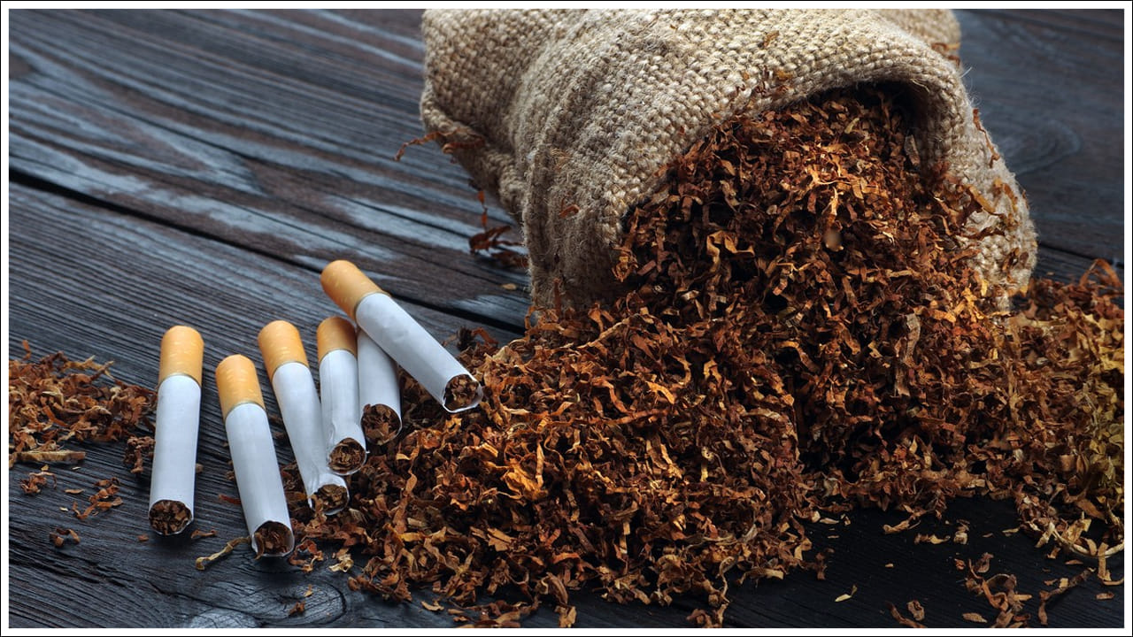 అధ్యయనంలోని ముఖ్యాంశాలు: ఈ అధ్యయనం భారతీయ గృహాల ఖర్చుల సరళిని విశ్లేషించింది. పొగాకు కోసం ఖర్చు చేసే డబ్బును విద్య, పోషకాహారం, ఇతర ఉత్పాదక రంగాలకు మళ్ళిస్తే కలిగే ప్రయోజనాలను వివరించింది. అలాగే ఎలాంటి నష్టాలు వాటిల్లుతున్నాయి..?  దీనిపై అధ్యయనం షాకింగ్‌ నిజాలను వెల్లడించింది. అయితే పొగాకు భారతీయ ప్రజలు ఎంతో సంపదను నష్టపోతున్నారని వివరించింది.