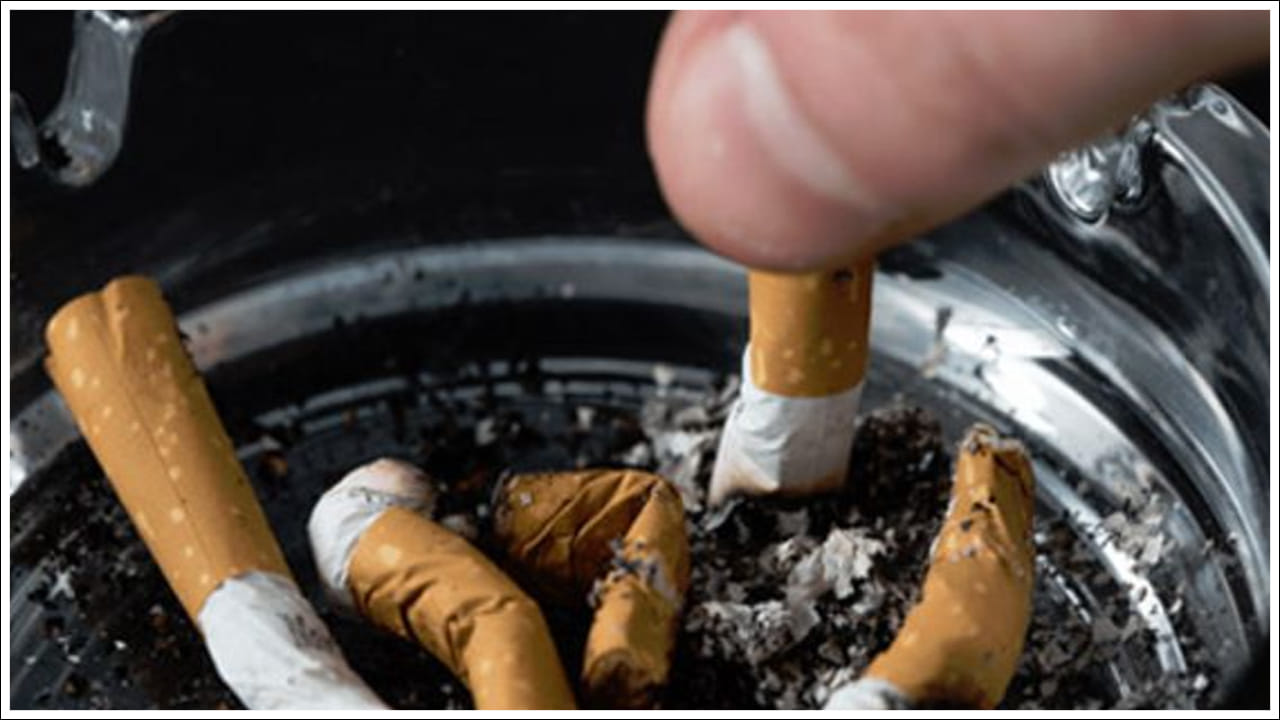  ఆర్థిక స్థితిలో మార్పు: దేశవ్యాప్తంగా సుమారు 1.5 కోట్ల కుటుంబాలు పొగాకు మానేయడం ద్వారా ప్రస్తుత ఆర్థిక తరగతి నుండి పై తరగతికి (Economic Class) వెళ్లే అవకాశం ఉంది. అలాగే పొగాకు మానేసి డబ్బు సంపాదన వైపు అడుగలు వేసి మంచి జీవనవిధానాన్ని అందిపుచ్చుకున్నట్లయితే లక్షాధికారులే కాదు కోటీశ్వరులు కూడా కావచ్చని విశ్లేషకులు చెబుతున్నారు.