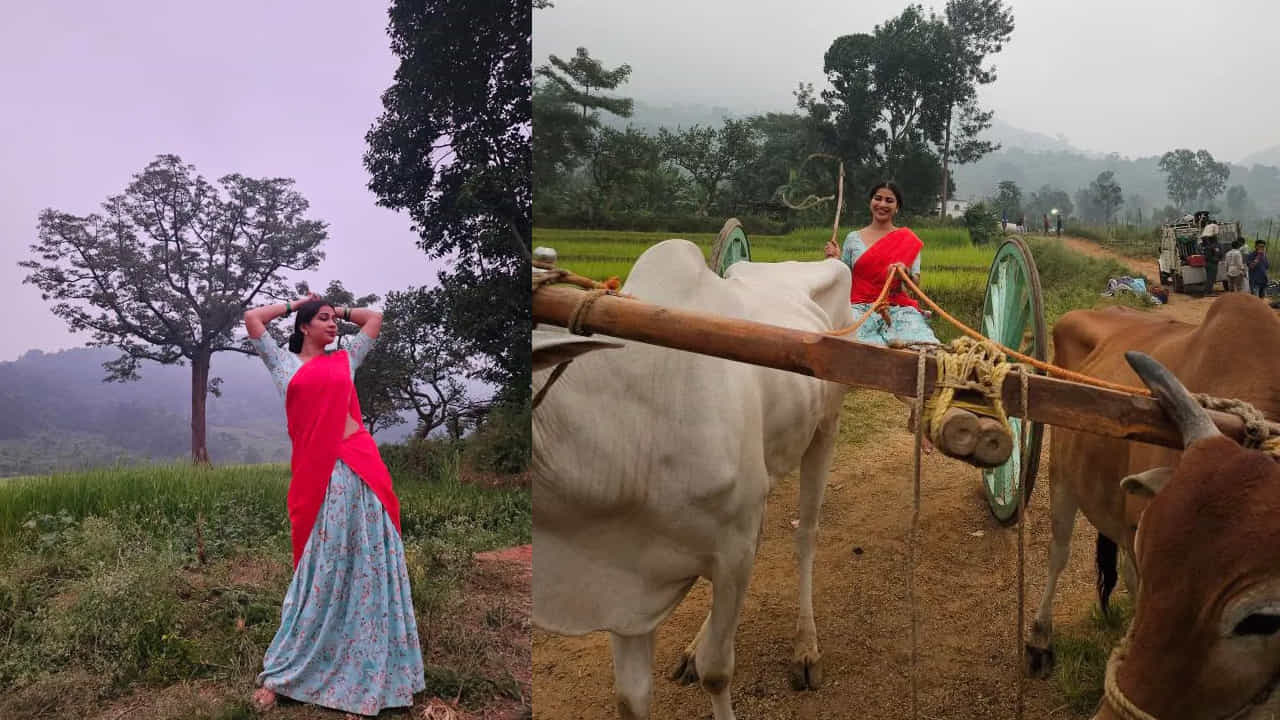 సోషల్ మీడియాలోనూ ఇనాయా సుల్తానాకు మంచి క్రేజ్ ఉంది. తన పర్సనల్ అండ్ ప్రొఫెషనల్ లైఫ్ నకు సంబంధించిన అన్ని విషయాలను ఇన్ స్టా గ్రామ్ లోనే షేర్ చేసుకుంటుందీ అందాల తార. ఇక ఆమె షేర్ చేసే గ్లామరస్ ఫొటోలు, వీడియోలకు కూడా నెటిజన్ల నుంచి మంచి స్పందన వస్తుంటుంది