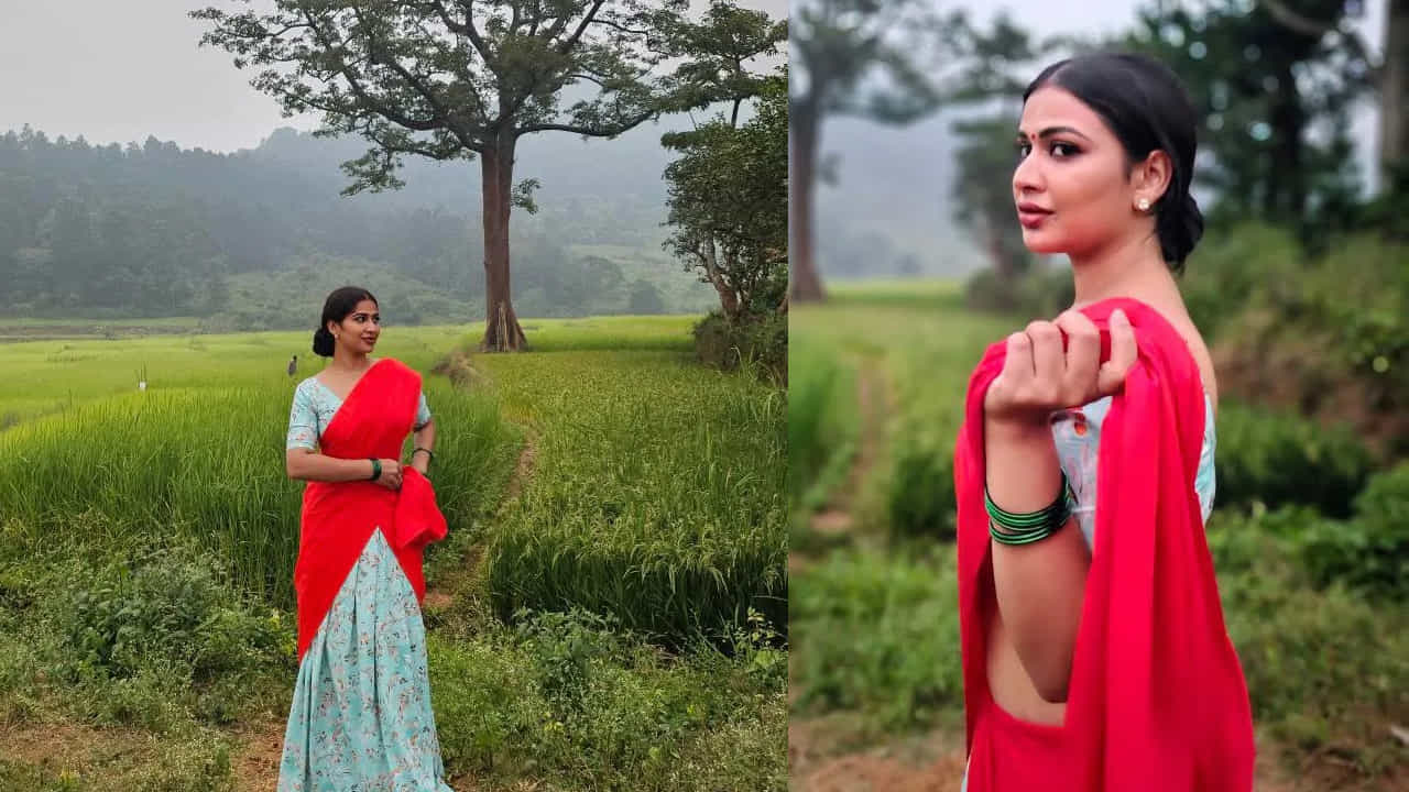 ప్రస్తుతం ఇనాయా సుల్తనా ' ఓ పిల్లా సాంగ్' అనే ప్రైవేట్ సాంగ్ చేస్తోంది. ఇందుకోసమే పల్లెటూరి యువతిలా మారిపోయిందీ అందాల తార. త్వరలోనే ఈ సాంగ్ కు సంబంధించి మరిన్ని అప్ డేట్స్ ఇస్తానంటూ ఇన్ స్టా గ్రామ్ లో రాసుకొచ్చిందీ బిగ్ బాస్ బ్యూటీ.