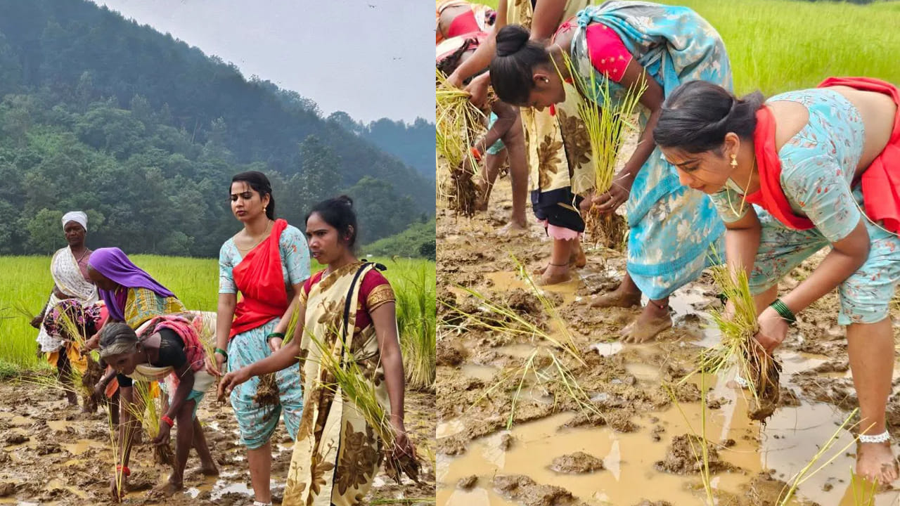  బిగ్ బాస్ తెలుగు రియాలిటీ షో ద్వారా మంచి గుర్తింపు తెచ్చుకున్న వారిలో ఇనయా సుల్తానా ఒకరు. బిగ్ బాస్ సీజన్ 6 లో కంటెస్టెంట్ గా అడుగు పెట్టిన ఇనాయా సుమారు 1 4 వారాల పాటు హౌస్ లో సందడి చేసింది.