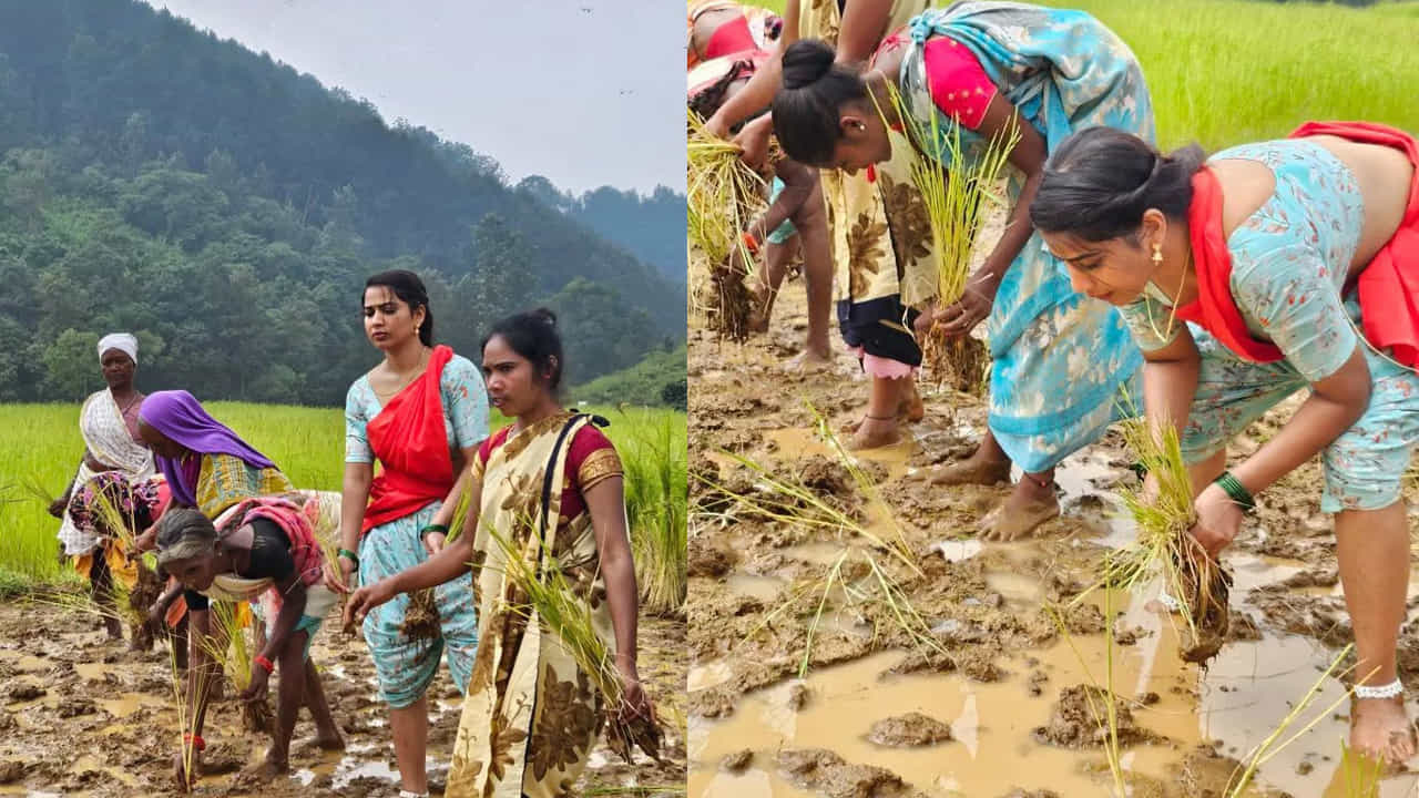 బిగ్ బాస్ తెలుగు రియాలిటీ షో ద్వారా మంచి గుర్తింపు తెచ్చుకున్న వారిలో ఇనయా సుల్తానా ఒకరు. బిగ్ బాస్ సీజన్ 6 లో కంటెస్టెంట్ గా అడుగు పెట్టిన ఇనాయా సుమారు 1 4 వారాల పాటు హౌస్ లో సందడి చేసింది.