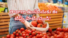 ఎండలకు టమాటాలు త్వరగా పాడవుతున్నాయా? ఇలా స్టోర్ చేస్తే 10 రోజులైన