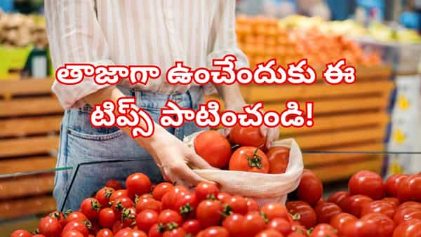 ఎండలకు టమాటాలు త్వరగా పాడవుతున్నాయా..? ఇలా స్టోర్ చేస్తే 10 రోజులైనా తాజాగా ఉంటాయి..!