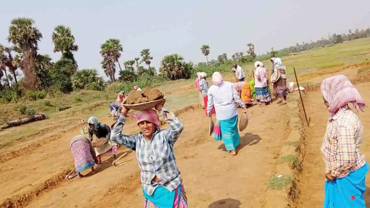 Andhra Pradesh: ఉపాధి హామీ పనులకు ట్రాక్టర్‌లో బయలుదేరిన కూలీలు.. కాసేపటికే.. అయ్యో భగవంతుడా..