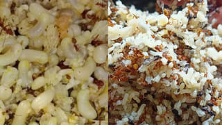 వందేళ్ల ఆరోగ్య రహాస్యం.. ఎండాకాలం కూల్‌ కూల్‌గా ఉంచే సూపర్‌ఫుడ్.. నిమిషాల్లోనే చేసుకోవచ్చు..