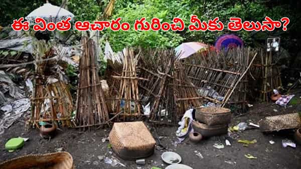 Viral News: కాల్చరు.. పూడ్చరు.. ఈ గ్రామంలో చనిపోయిన శవాలను ఏం చేస్తారో తెలుసా?