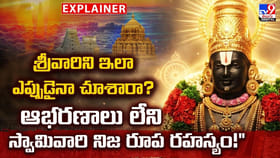 శ్రీవారినిజీవితంలో ఒక్కసారైనా..ఇలా చూశారా?