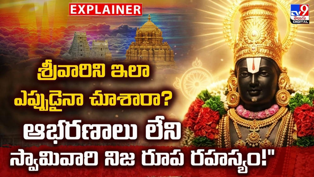 శ్రీవారినిజీవితంలో ఒక్కసారైనా..ఇలా చూశారా?