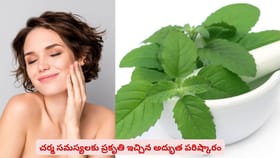 చర్మ సమస్యలకు ప్రకృతి ఇచ్చిన అద్భుత పరిష్కారం