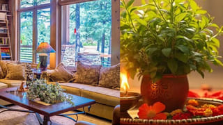 పెళ్లిలో చికెన్ లెగ్ పీస్ తెచ్చిన తంట.. వేదికపైనే విడాకులు చెప్పిన పెళ్లికొడుకు..!