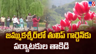 మాంసం ముక్క గొంతులో ఇరుక్కొని ఊపిరి ఆగిపోయిన ఘటన
