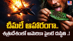 చీమలే ఆహారంగా.. శత్రుదేశంలో అమెరికా పైలట్‌ దుస్థితి
