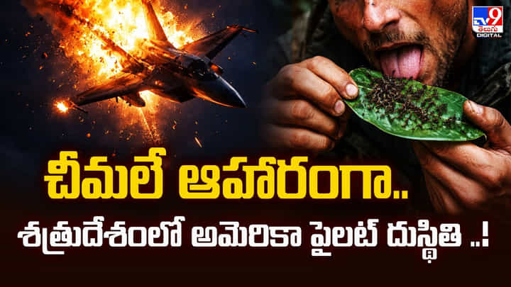చీమలే ఆహారంగా.. శత్రుదేశంలో అమెరికా పైలట్ దుస్థితి చీమలే ఆహారంగా.. శత్రుదేశంలో అమెరికా పైలట్ దుస్థితి