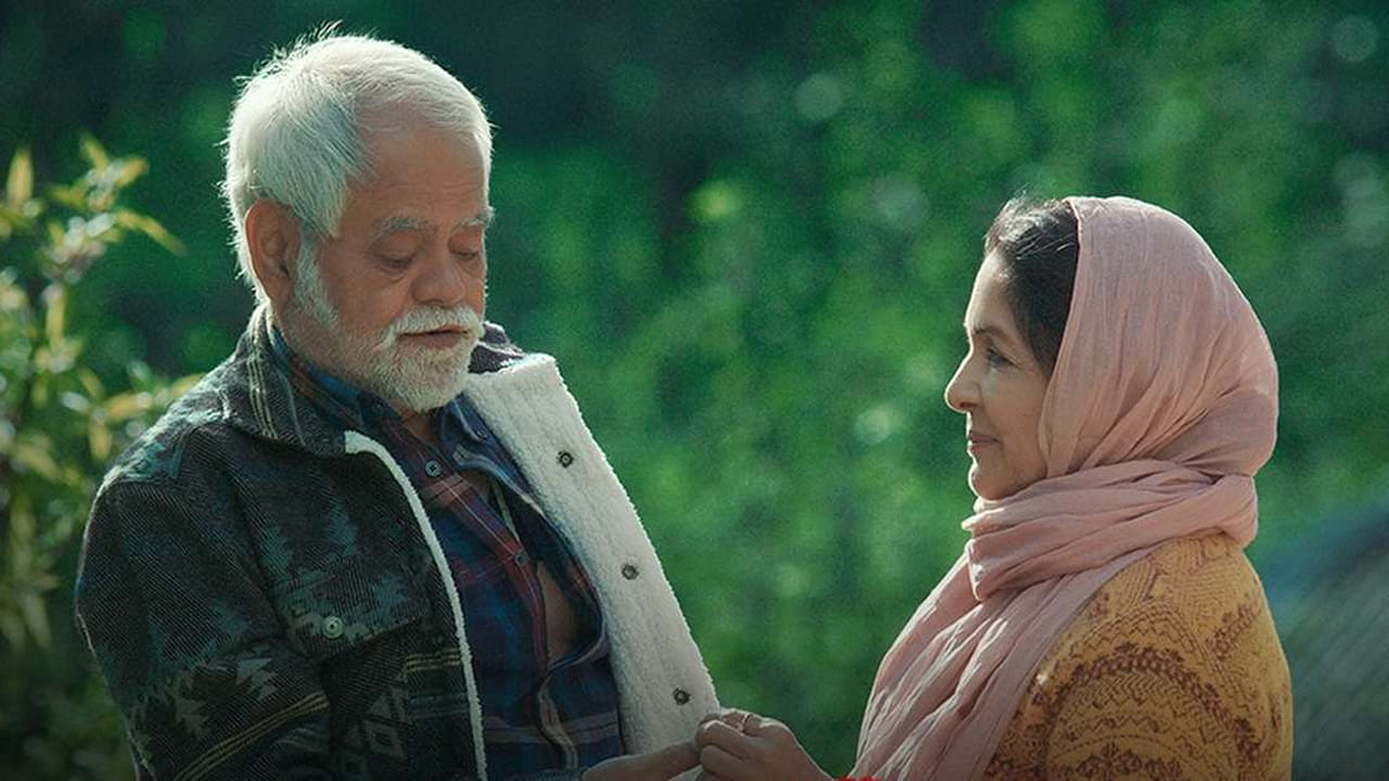 భారతీయ చిత్రసీమలో మర్డర్ మిస్టరీ చిత్రాల గురించి మాట్లాడితే ఎన్నో చిత్రాలు గుర్తుకు వస్తాయి. అలాగే ఆద్యంతం ఊహించని మలుపు, సస్పెన్స్ తో సాగే సినిమాలు ఉంటే ఠక్కున గుర్తొచ్చే పేరు దృశ్యం. మలయాళం, హిందీ, తెలుగు భాషలలో ఈ సినిమా క్రియేట్ చేసిన రికార్డ్స్ గురించి చెప్పక్కర్లేదు. అయితే ఇప్పుడు ఈ సస్పెన్స్ విషయంలో అన్ని రికార్డులను బద్దలుకొట్టిన ఒక చిత్రం ఓటీటీ ప్లాట్‌ఫామ్‌పైకి వచ్చింది. సంజయ్ మిశ్రా, నీనా గుప్తాల చిత్రం 'వధ్ 2'. ఎలాంటి ఆర్భాటం లేదా భారీ బడ్జెట్ లేకుండా కూడా ఒక కళాఖండాన్ని నిర్మించవచ్చని నిరూపించింది.