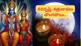 వైశాఖ పౌర్ణమి మహత్యం.. పూజా విధానాలు, దాన ధర్మాలు.. ఆశ్చర్యకర..