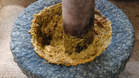 విరిగిన ఎముకల్ని అతికించగల పవర్ దీనికుంది..