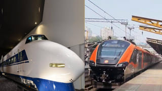 Viral News: కళ్లు మూసుకున్నా చూడగలవు.. ఈ జీవుల సూపర్ పవర్స్ గురించి తెలిస్తే..