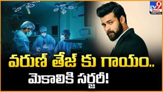 V.V. Vinayak: అసలు మహేష్‌ను ఛాన్స్‌ ఎందుకు అడగాలి ??