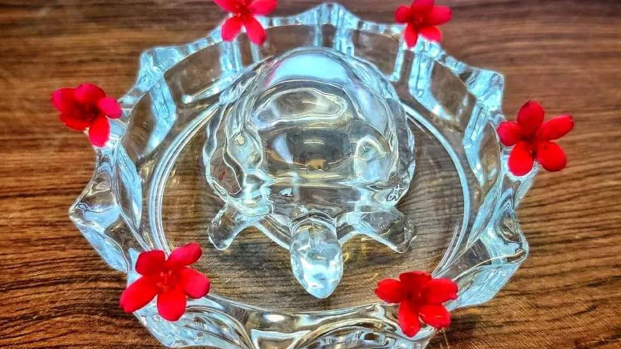 
కూర్మావతారం, దాని ప్రాముఖ్యత..

తాబేలుకు హిందూ పురాణాలలో ఒక విశేష స్థానం ఉంది. దేవతలు, దానవులు అమృతం కోసం సముద్రాన్ని మథించే సమయంలో, శ్రీమన్నారాయణమూర్తి కూర్మావతారంలో మందర పర్వతాన్ని తన వీపుపై మోసి, మథనానికి స్థిరత్వాన్ని అందించారు. ఈ అవతారంలో, భగవంతుడు అపారమైన భారాన్ని మోశారు. దేవదానవులు దర్జాగా మథనం చేస్తుండగా, భారం మొత్తం ఆయన మోశారు. ఈ సంఘటన తాబేలు భారం మోయడానికి, కష్టాలకు ప్రతీకగా నిలుస్తుంది. అందుచేత, నిజమైన తాబేలును ఇంట్లో పెంచుకోవడం వల్ల గృహ యజమాని మరింత కష్టాలు, బాధ్యతలు మోయాల్సి వస్తుందని వాస్తు శాస్త్రం చెబుతోంది.
