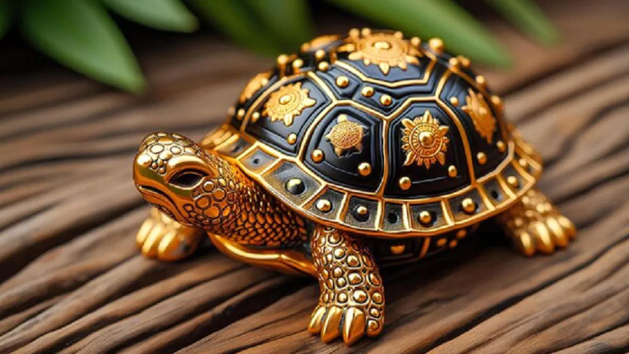 
నిజమైన తాబేలుకు బదులుగా స్ఫటిక తాబేలు.. 

నిజమైన తాబేళ్లను పెంచడానికి బదులుగా, స్ఫటికంతో తయారుచేసిన తాబేలు బొమ్మను ఇంట్లో ఉంచడం శ్రేయస్కరం. ఈ బొమ్మను దక్షిణం వైపు చూస్తున్నట్లుగా మీ టేబుల్ లేదా డ్రాయర్‌పై ఉంచాలి. ఇలా చేయడం వల్ల కష్టాల నుంచి    బయటపడటానికి ఎక్కువ ఆస్కారం ఉంటుంది. ఇది పరమాత్మ స్వరూపాన్ని తలుచుకుని నమస్కరించినట్లు అవుతుంది. స్ఫటిక తాబేలు సానుకూల ఆలోచనలు, దైవచింతన, ధైర్యస్థైర్యాలను అందిస్తుంది.
