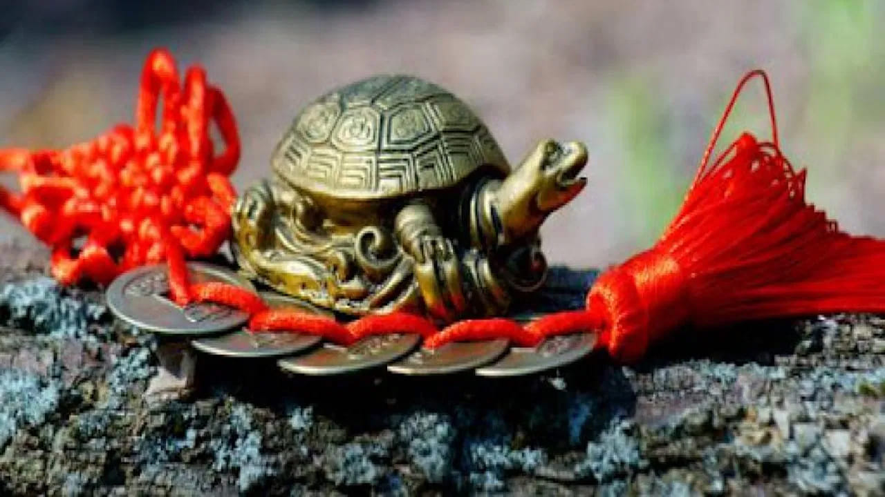 
తాబేలును బావిలో ఉంచడం.. 

ఒకవేళ మీ ఇంట్లో నిజమైన తాబేలు ఇప్పటికే ఉన్నట్లయితే..  ఇంట్లో బావి గనక ఉన్నట్లయితే, ఆ తాబేలును బావిలో వేయమని సూచిస్తారు. తాబేలు బావిలోని నీటి స్వచ్ఛతకు సహకరిస్తుందని నమ్ముతారు. తాబేళ్లు గాలిని బాగా పీల్చి వదులుతాయి. దీని ద్వారా అవి ఎక్కువ కాలం జీవిస్తాయి. ఇదే సూత్రాన్ని అనుసరించి మానవులు కూడా ఉచ్ఛ్వాస నిశ్వాసాలపై శ్రద్ధ పెట్టడం వల్ల శ్వాసకోశ సంబంధిత రుగ్మతల నుంచి రక్షణ పొందవచ్చని శాస్త్రం చెబుతోంది.
