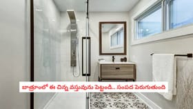 బాత్రూంలో ఈ చిన్న వస్తువును పెట్టండి.. సంపద పెరుగుతుంది
