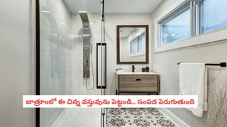Vastu Tips: మీ బాత్రూంలోని ఓ మూలలో దీన్ని ఉంచండి.. ఆ మ్యాజికల్ పవర్ ఏంటో మీరే చూస్తారు..