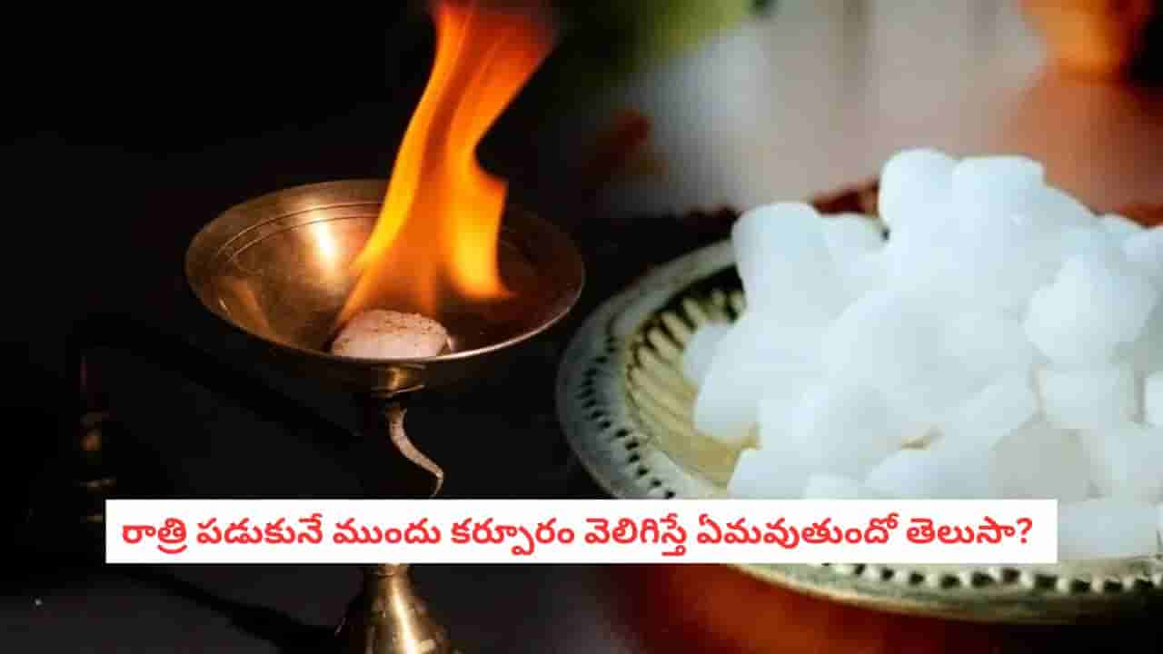 Vastu Tips: కర్పూరంతో కష్టాలు తీరుతాయా? అప్పుల బాధ నుండి విముక్తి పొందేందుకు వాస్తు సూచనలివే!