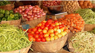 ఇంట్లో పెళ్లి బాజాలు మోగాలంటే.. ఈ మొక్కలు పెంచండి.. నెలల్లోనే మూడు ముళ్ళు వేస్తారు