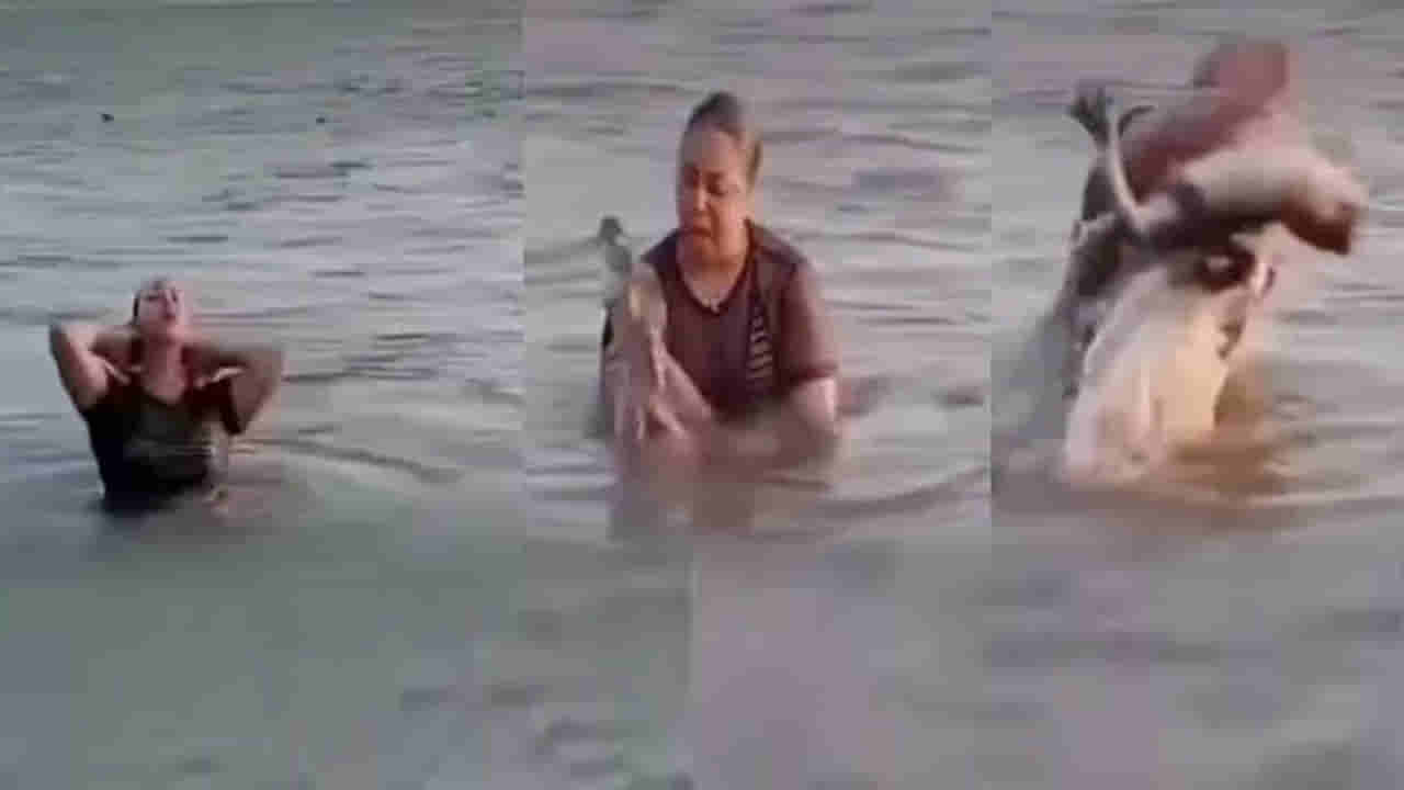 Viral Video: నదిలోకి దిగిన యువతి కాళ్ల దగ్గర ఏదో కదులుతూ కనిపించింది.. పైకి లాగి చూడగా