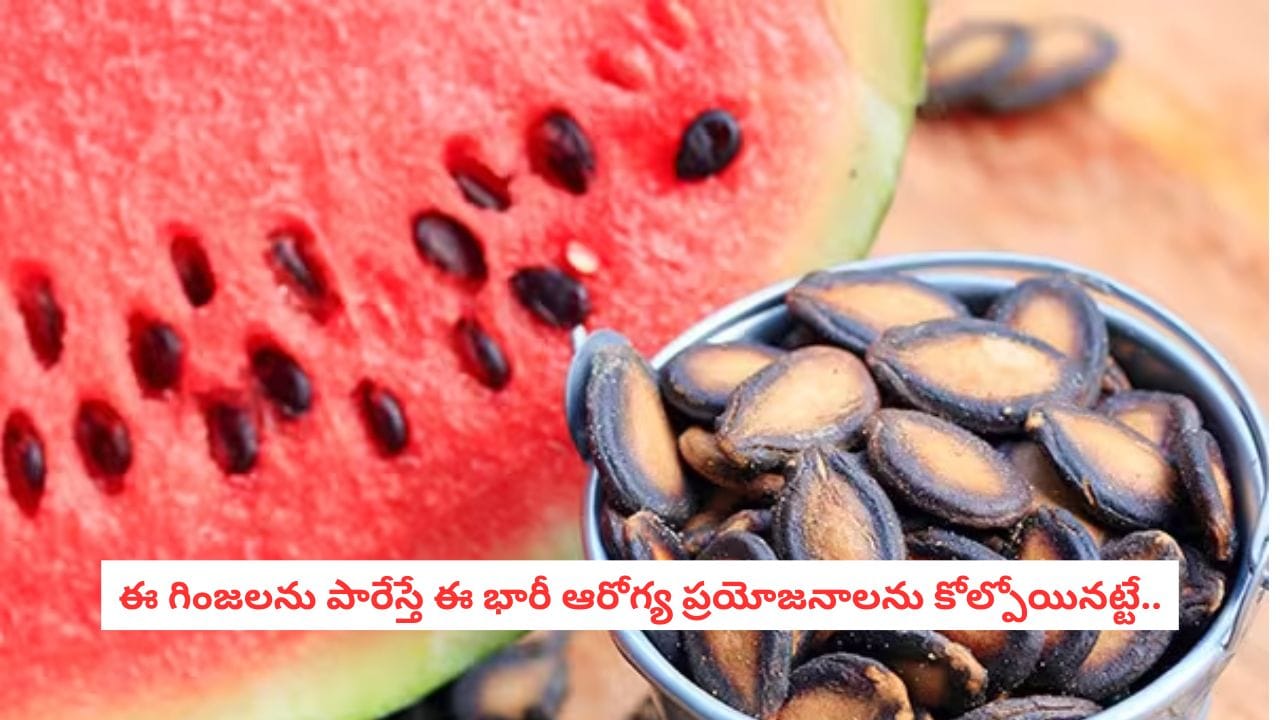 Watermelon Seeds: పుచ్చకాయ గింజలు మింగితే నిజంగా కడుపులో మొక్క మొలుస్తుందా? అసలు రహస్యం ఇదే!